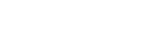 Check Point